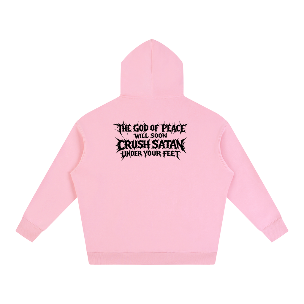 Romans 16:20 Hoody